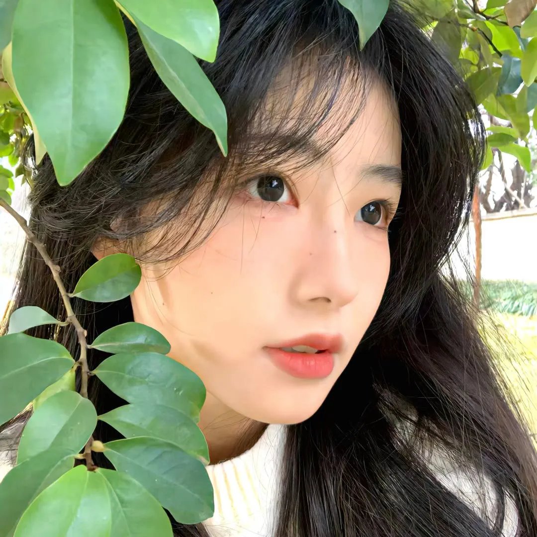 政变53 海报